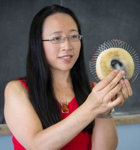 Eugenia Cheng