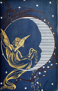 My Own Fairy Book