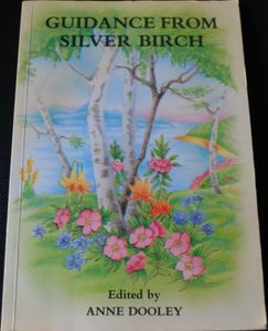 Guidance from Silver Birch