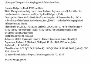 The Quantum Labyrinth: How Richard Feynman and John Wheeler Revolutionized Time and Reality