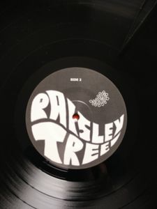 Paisley Tree
