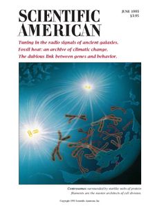 Scientific American (June 1993)