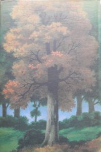 Field and Forest