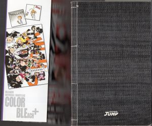 Color Bleach Plus