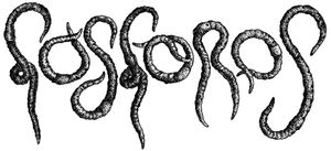 Fosforos