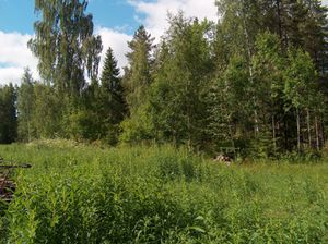 Nature