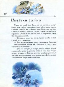 Лесной Шатёр