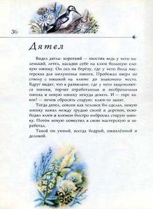 Лесной Шатёр