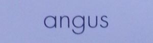 Angus