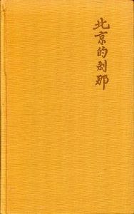 Blatt im Sturm: Roman aus dem kriegverheerten China