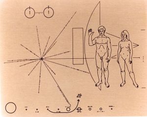Pioneer Program