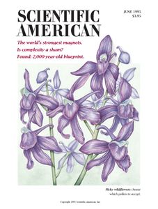 Scientific American (June 1995)