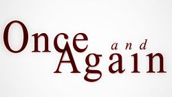 Once and Again (TV series)