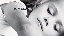 Homeland (TV series)