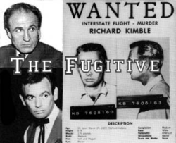 The Fugitive (TV series)