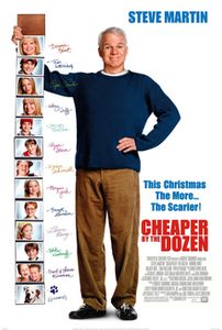 Cheaper by the Dozen (2003 film)