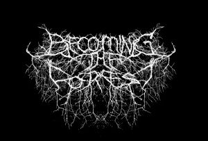 Becoming the Forest