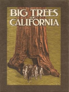 Mariposa Grove of Big Trees