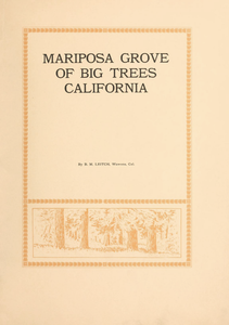 Mariposa Grove of Big Trees