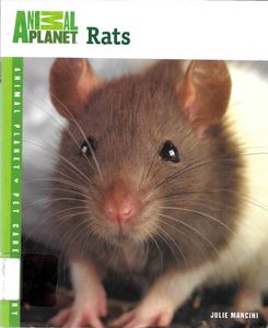Rats