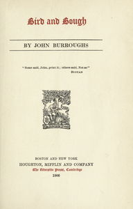 Bird and Bough