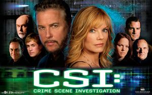 CSI: Crime Scene Investigation (TV series)