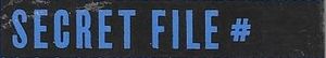 Secret File