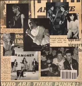 Punk: The Definitive Record of a Revolution