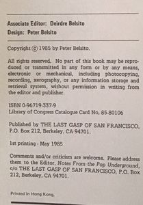 Notes from the Pop Underground