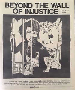 BEYOND THE WALL OF INJUSTICE ISSUE 5 FREE