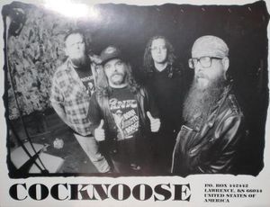 Cocknoose