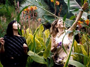 Phantom Orchard
