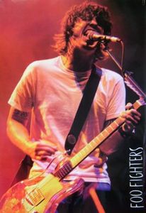 Foo Fighters Poster - Dave Grohl on Stage