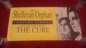 Shelleyan Orphan - Century Flower