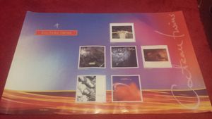 Cocteau Twins - Capitol Promotion Heaven Or Las Vegas