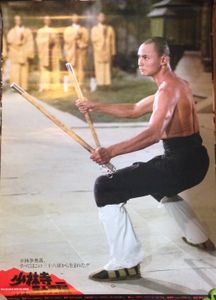 The Shaolin 36th Chamber
