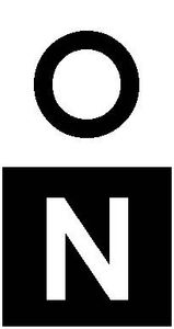 Optic Nerve