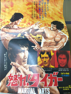Martial Arts