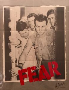 Fear