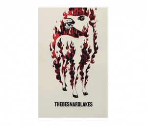 The Besnard Lakes - Burning Horse