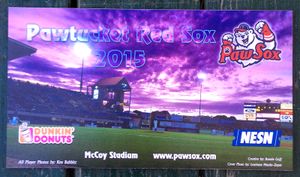 Pawtucket Red Sox 2015 Pawsox Team Poster