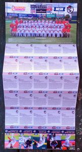Pawtucket Red Sox 2015 Pawsox Team Poster