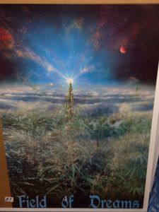 Field Of Dreams