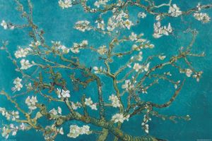 Van Gogh Almond Blossom San Ramy
