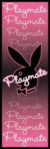 Playboy Playmate Bunny