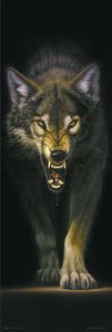Prowling Wolf