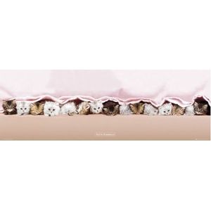 Keith Kimberlin Kittens Under Blanket