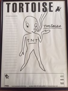 Tortoise | TNT