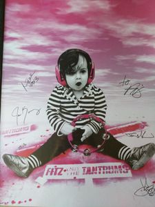 Fitz and the Tantrums