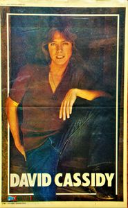 David Cassidy